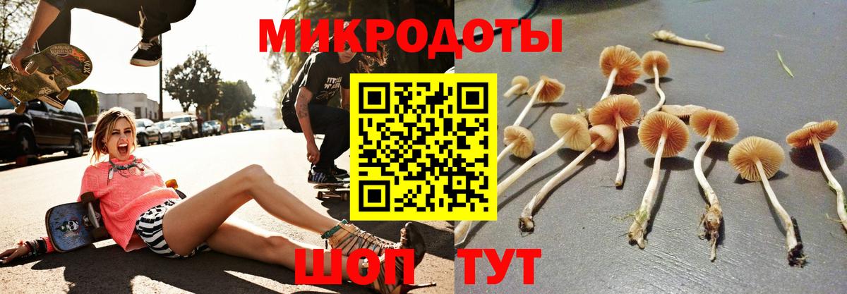 Дивногорск  Псилоцибиновые грибы MAGIC MUSHROOMS  хочу   Вход с VPN 